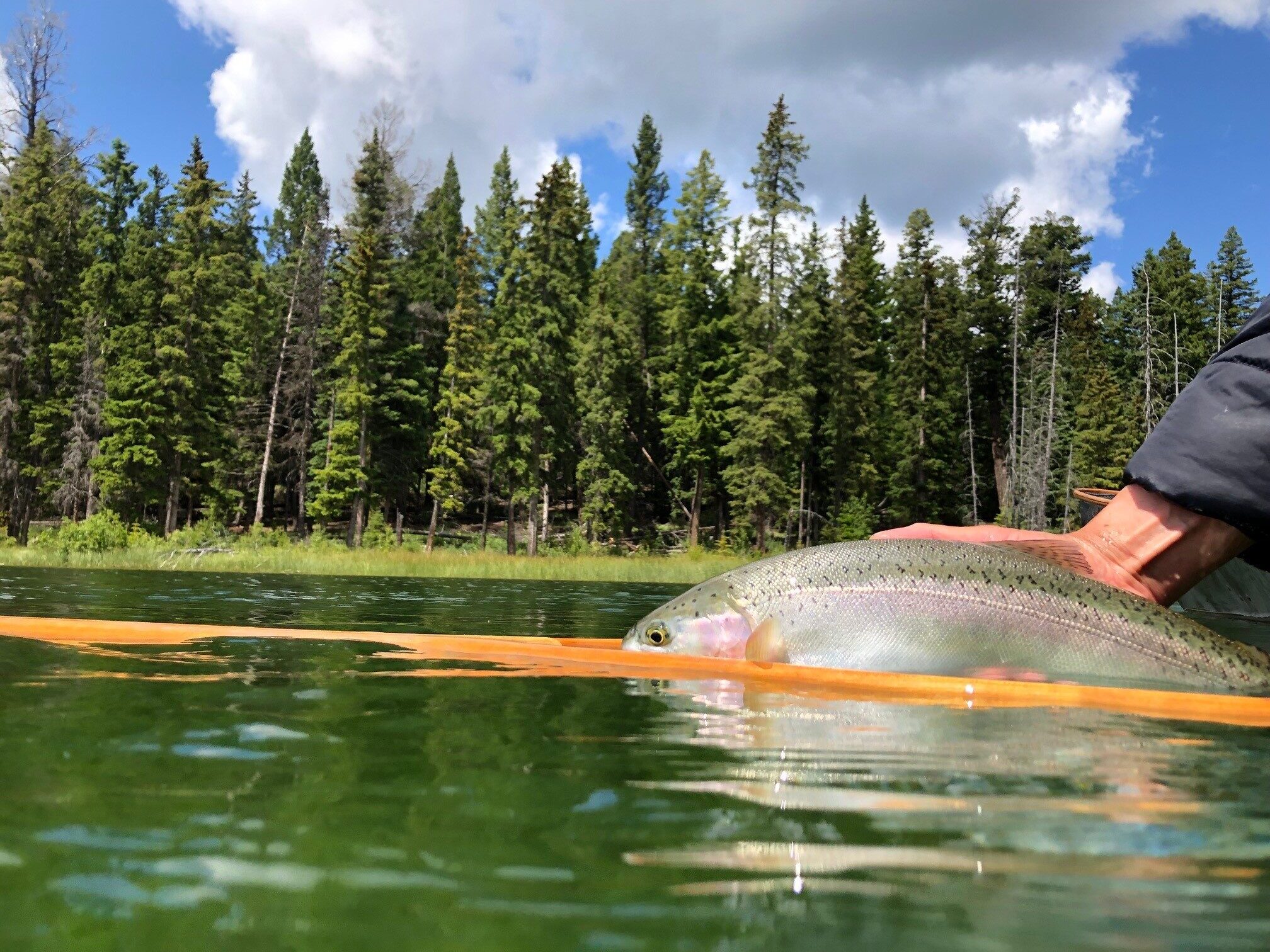 Stillwater Trout Fishing in Hot Summer Conditions: Tips for