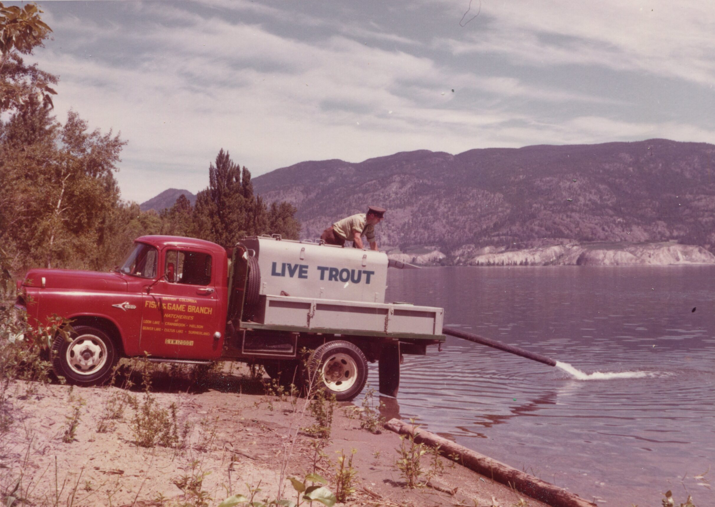 A Brief History of Freshwater Fish Stocking and Hatcheries in B.C.
