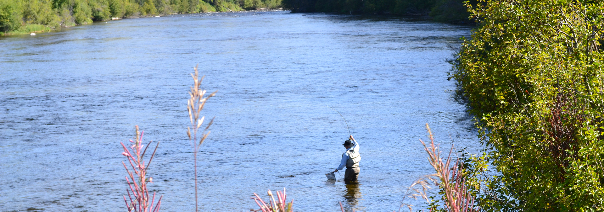 3 Patterns to Try for River Fly Fishing Success