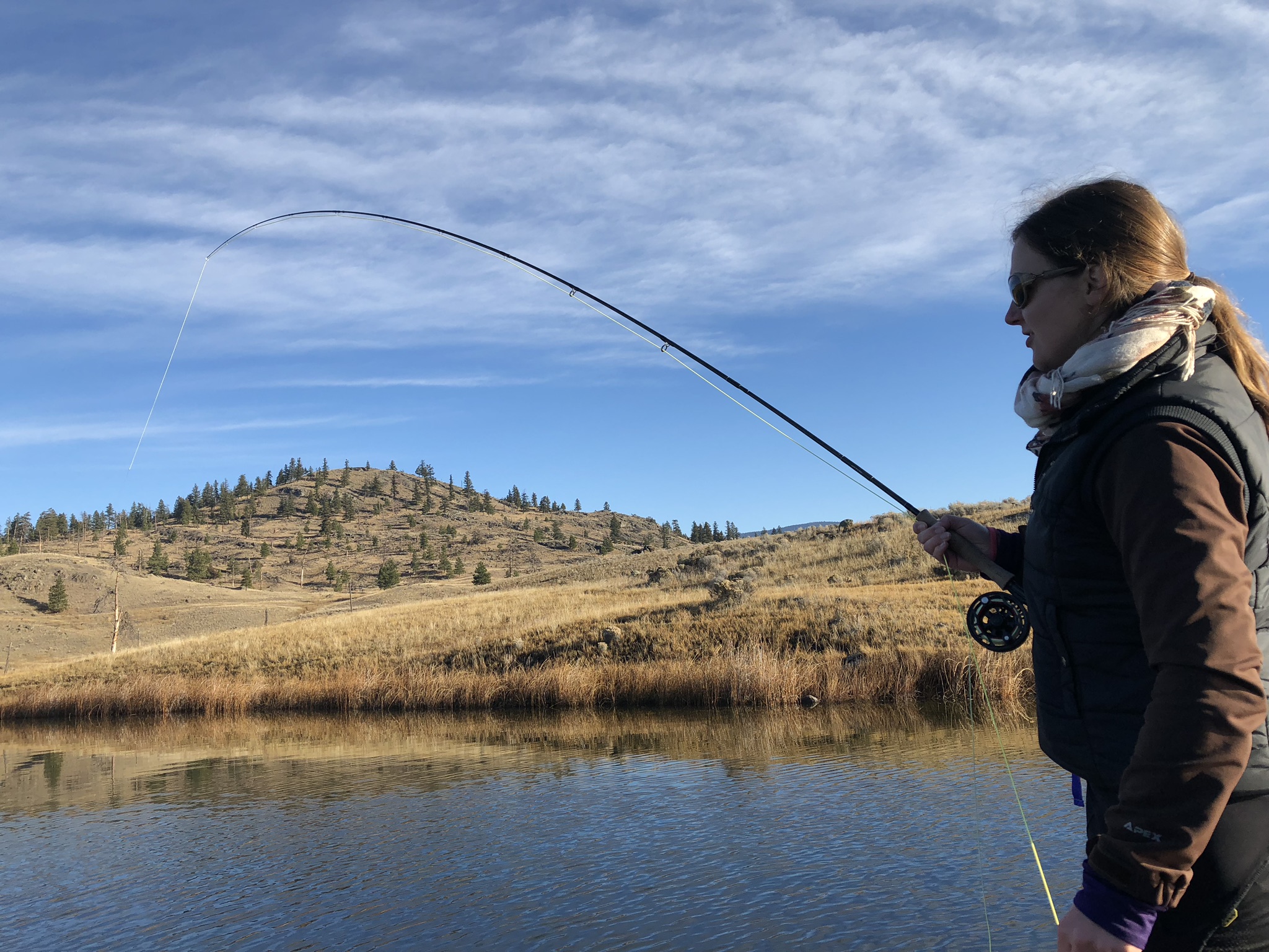 Fly Rods for Stillwaters: How to Choose the Right Equipment - Freshwater  Fisheries Society of BC