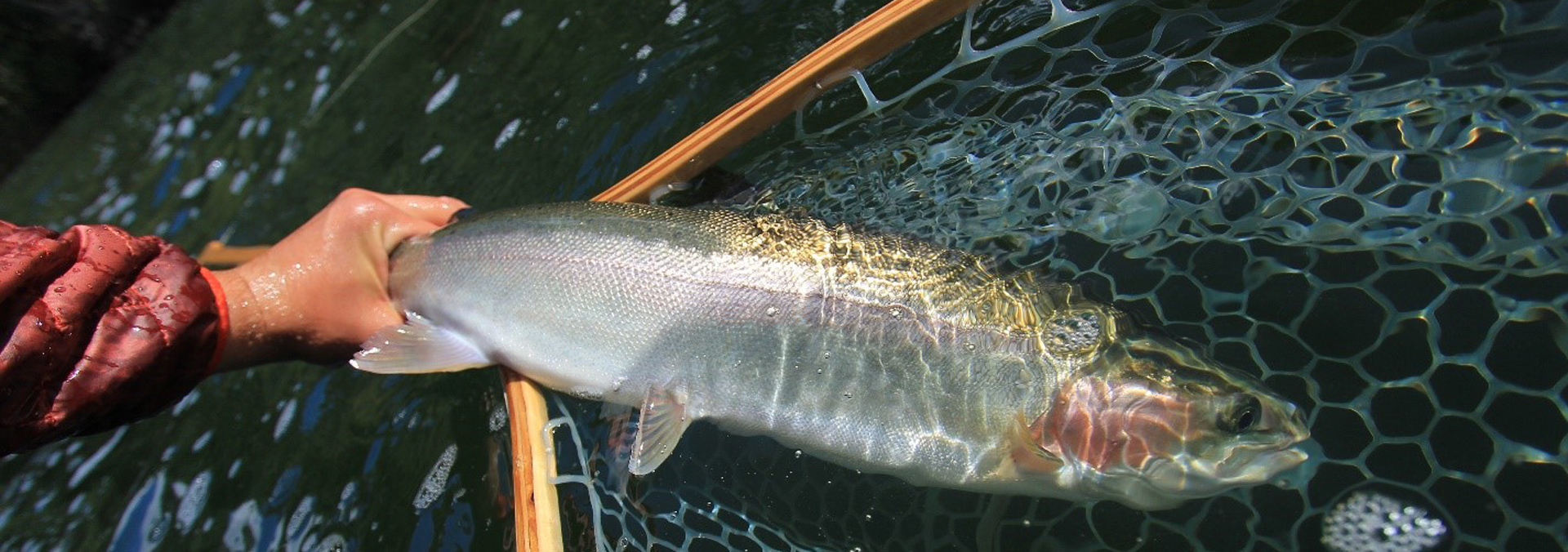 Ice-Off Fishing Tips: Catching Trout in Early Spring - Go Fish BC