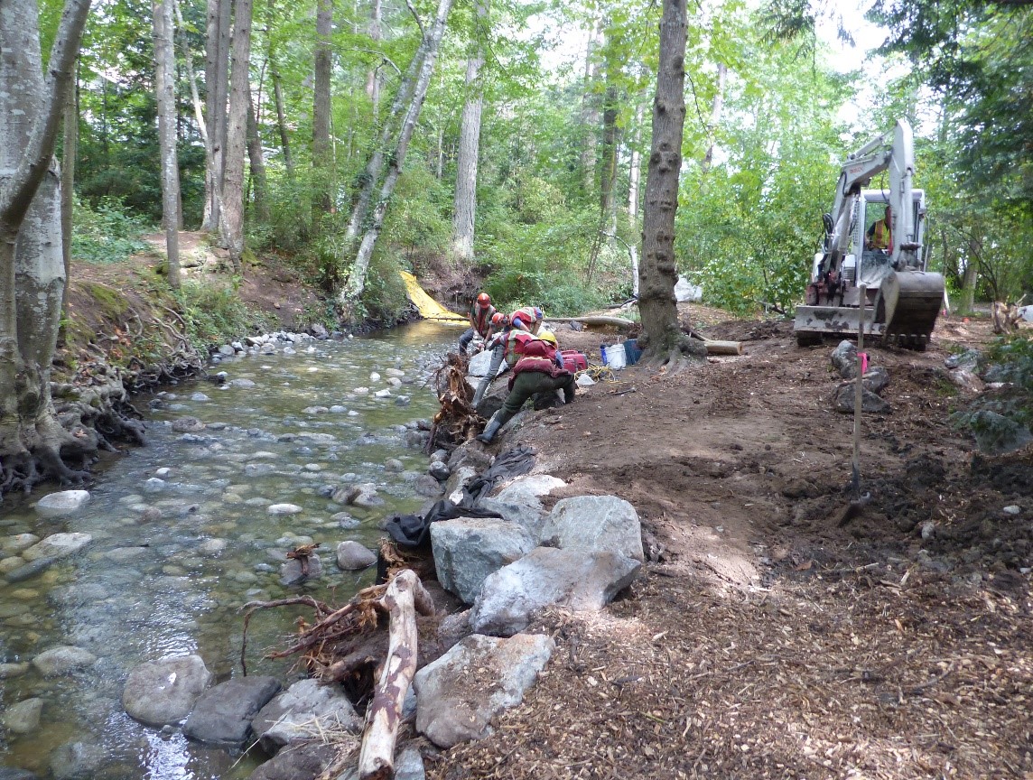 Conservation Projects Helping Native Trout in B.C. – Part 2