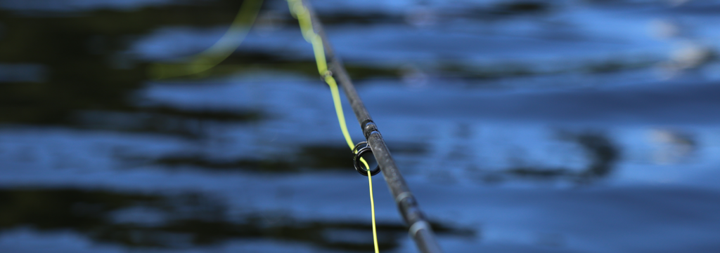 Essential Fly Lines for Stillwater Fly Fishing: A Guide - Freshwater  Fisheries Society of BC