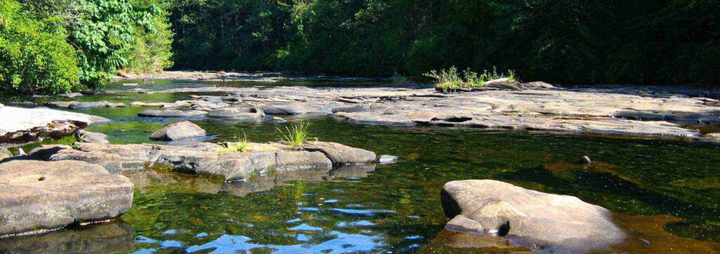 Quinsam River Mayfly Hatches_Desktop Banner