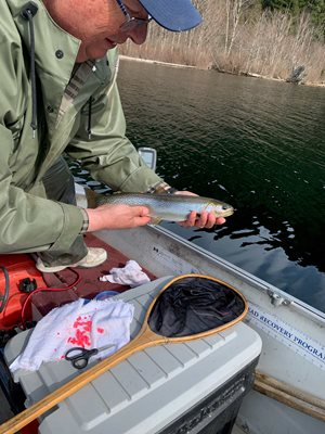 Nick Basok with a cutthroat at Deer Lake. 