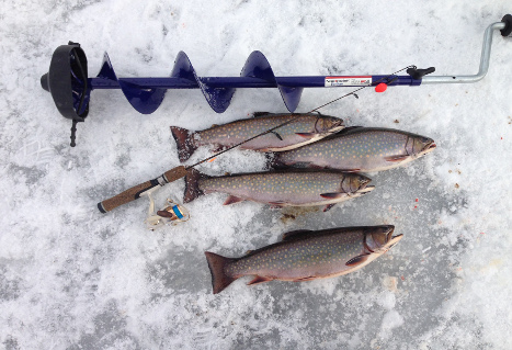 Top Spots for Ice-Fishing in the Thompson-Nicola Region - Go Fish BC