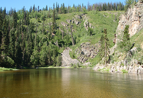 The Stellako River is always clear.
Dannie Erasmus