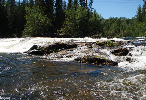 Stellako waterfalls.