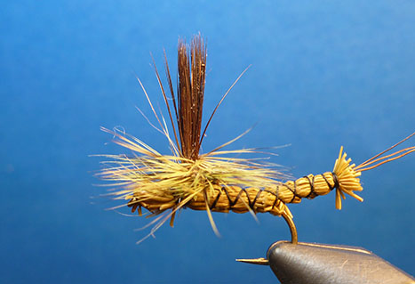 Dry-Fly Fishing 101 - Go Fish BC