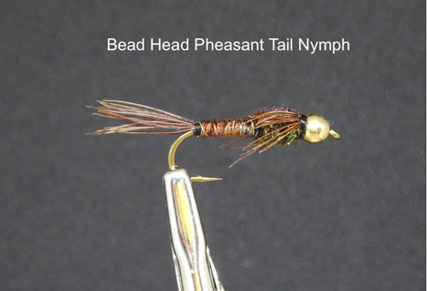 Bead Head Pheasant Tail Nymph