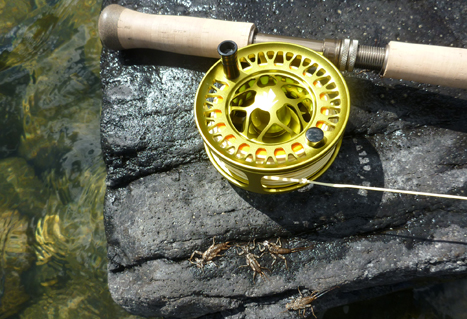 Stonefly nymphs near fishing reel. Brian Chan. 