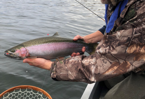 Autumn Small Stream Trout - March 2021 – Tackle Tactics