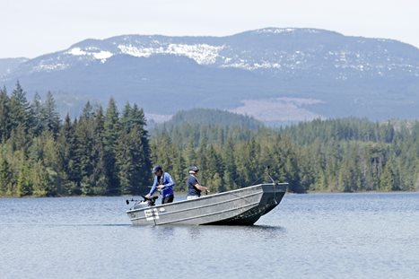 New Kokanee Fisheries on Vancouver Island - Freshwater Fisheries Society of  BC