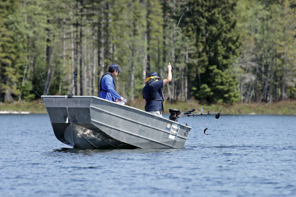 Anglers catch kokanee on Beavertail Lake on Vancouver Island.