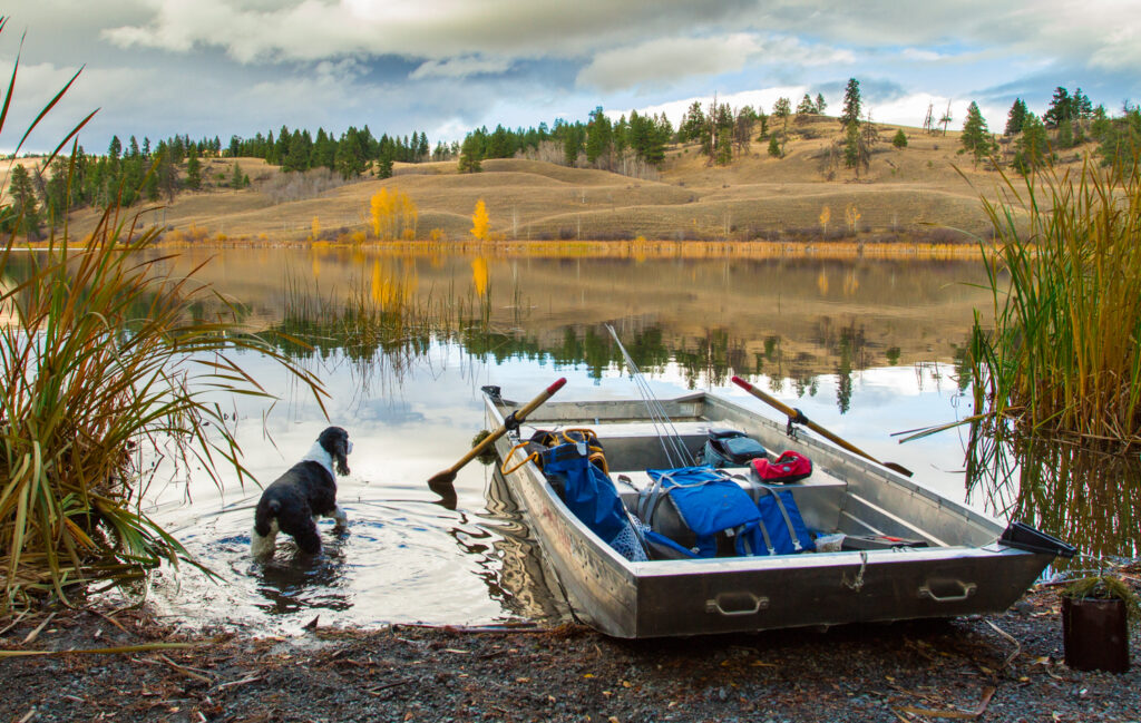 dog boat shore pfd Corbett Lake_Glenn Gerbrandt