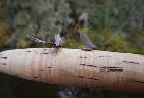 Mayfly dun. 