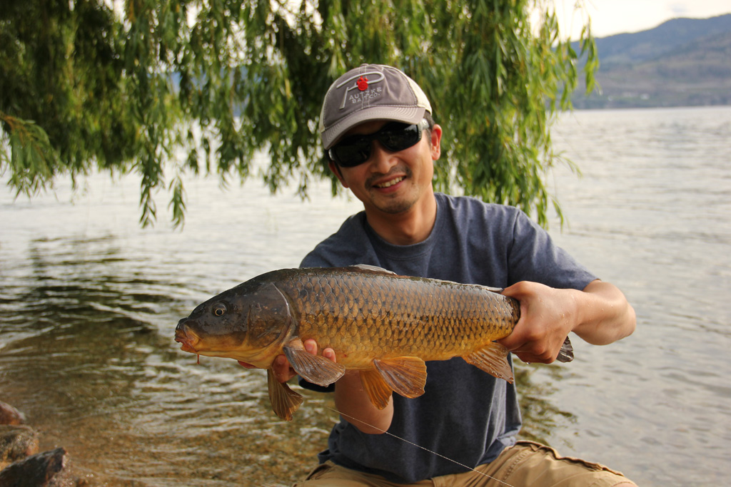 Common carp. Rodney Hsu